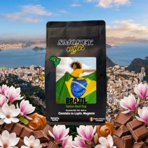 Brazil Santos Good Cup